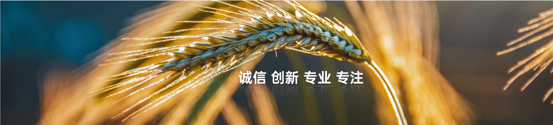 顧客至上，信譽(yù)第一